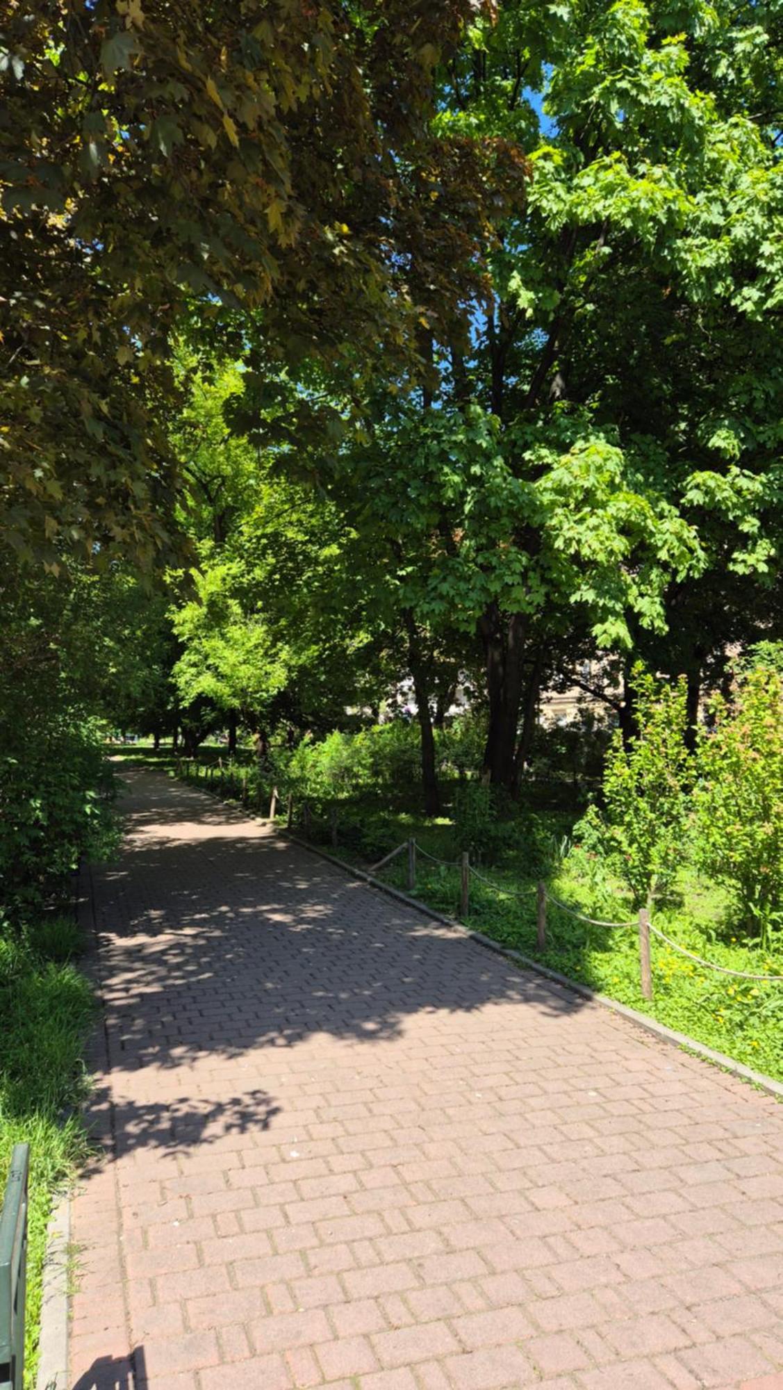 Apartament Daszyńskiego