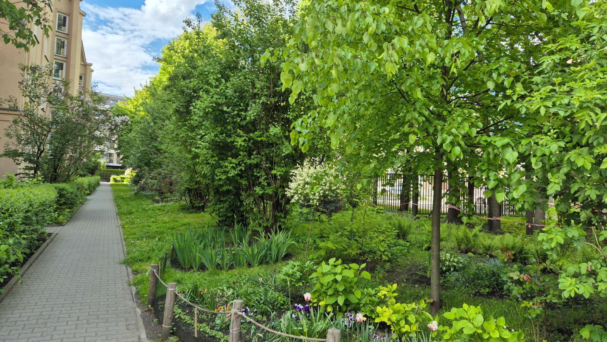 Apartament Daszyńskiego *